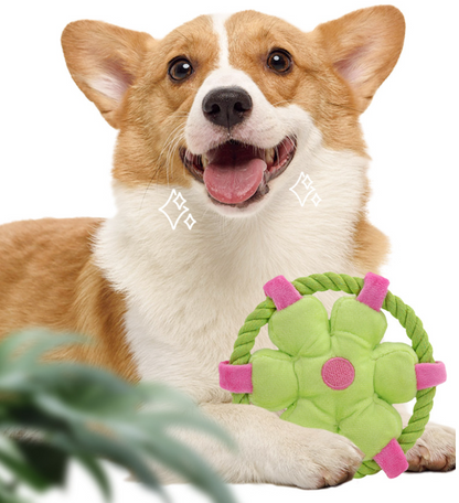 Hand-Woven Cotton Rope Flower & Smile Frisbee Set
