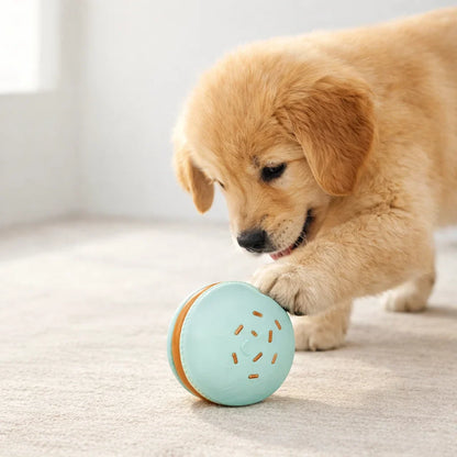 Macaron Squeak toy